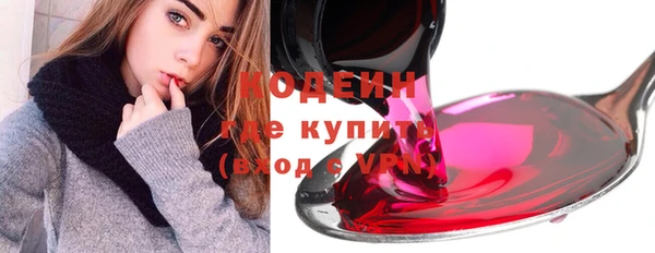 индика Беломорск