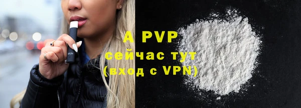 индика Беломорск
