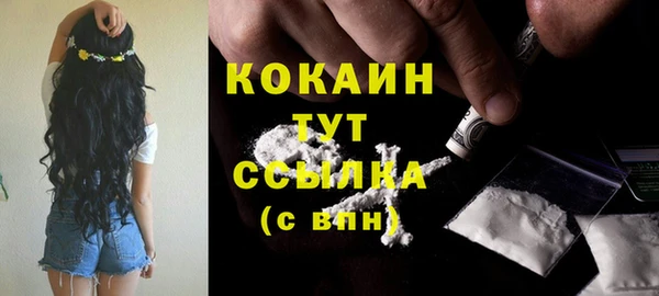 гидропоника Белокуриха