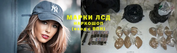 гидропоника Белокуриха