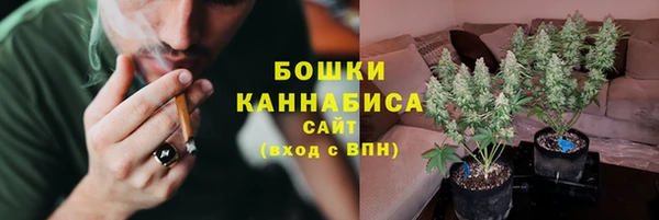гидропоника Белокуриха