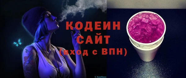 индика Беломорск