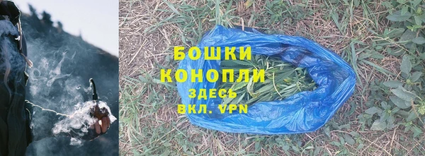 индика Беломорск