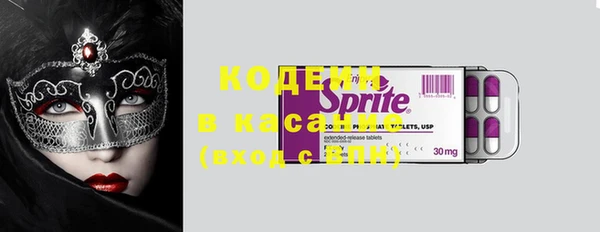 индика Беломорск
