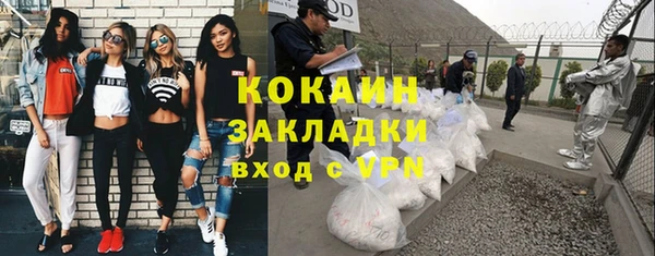 индика Беломорск
