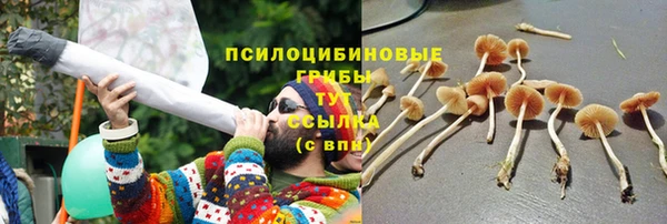 гидропоника Белокуриха
