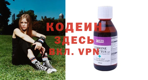 индика Беломорск