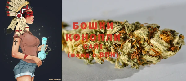 гидропоника Белокуриха