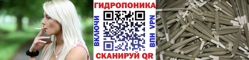 Бошки Шишки планчик  Удачный 